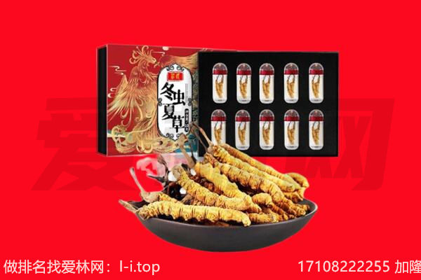 陵水回收虫草.jpg